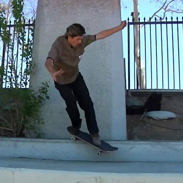 Welcome Skateboards - ‘Swamp Fight’