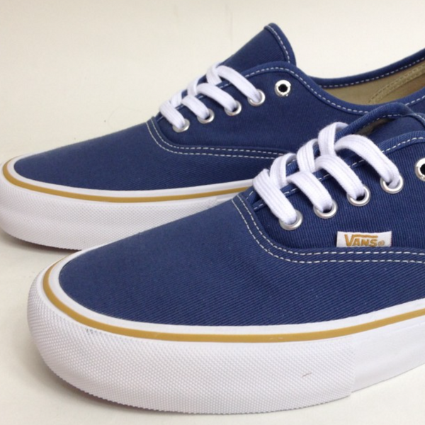 Welcome Footwear Guide: Vans X Anti Hero Authentic Pro (Julien Stranger)