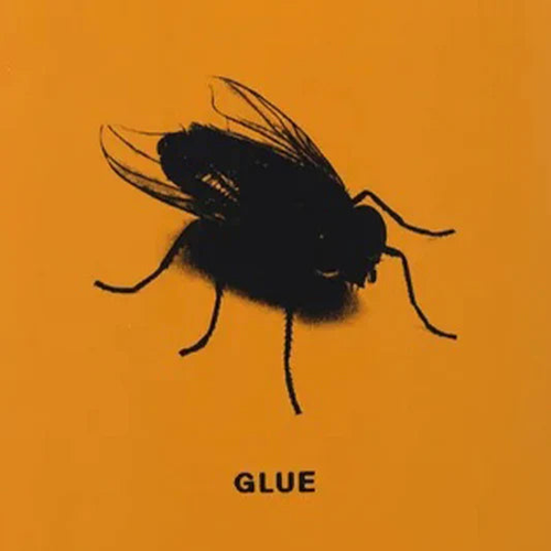 Glue Skateboards