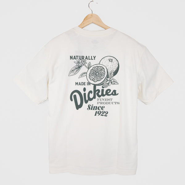 Dickies - Raven T-Shirt - Cloud