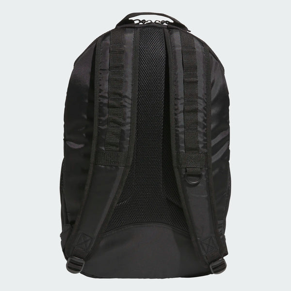 Adidas Skateboarding - FSBS Skate Backpack - Black