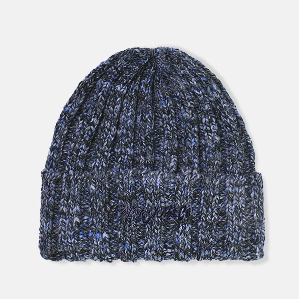 Polar Skate Co. - Ali Beanie - Blue