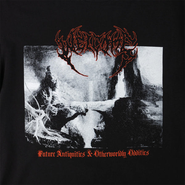 Welcome Skateboards - Bridge T-Shirt - Black