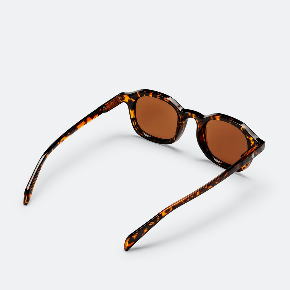 CHPO - Anki Sunglasses - Turtle Brown