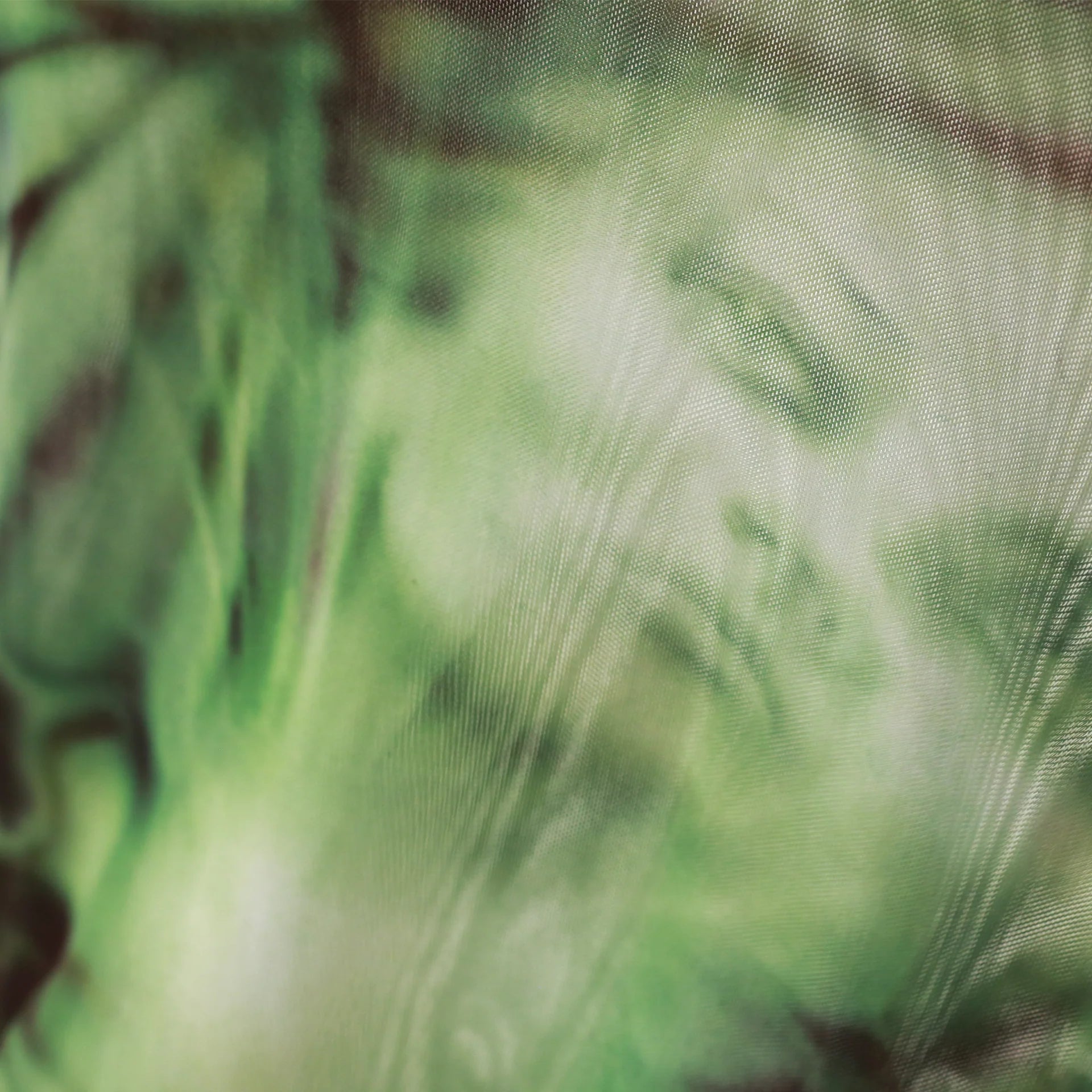 Yardsale - Butterfly Mesh Longsleeve Jersey  - Green