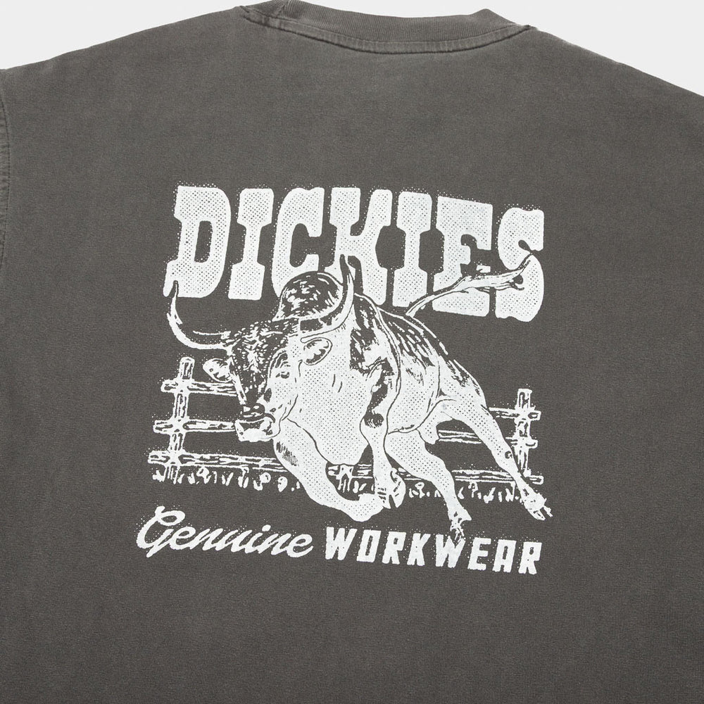 Dickies - Buchtell T-Shirt - Black