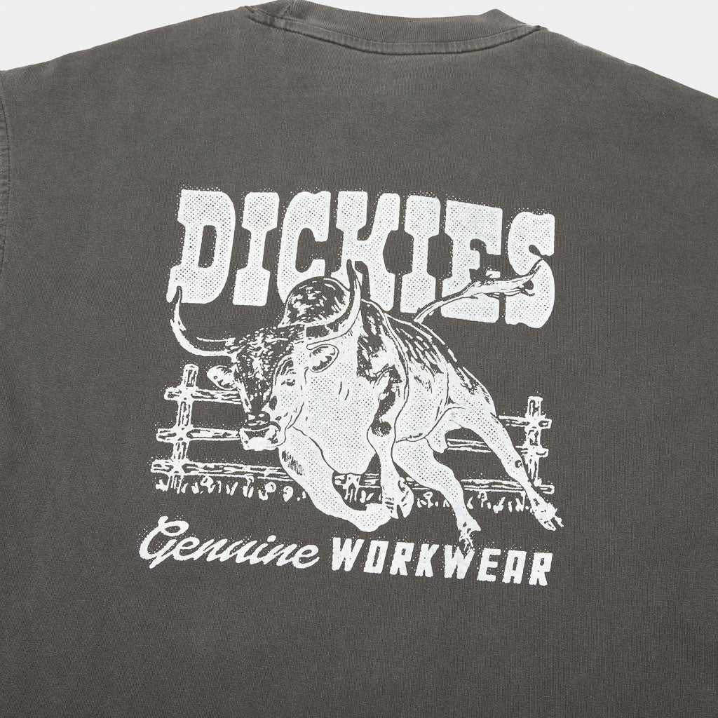 Dickies - Buchtell T-Shirt - Black