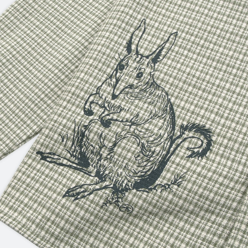 Pass Port Skateboards - May Gibbs Bush Greeting Workers Check Longsleeve Shirt - Moss Green