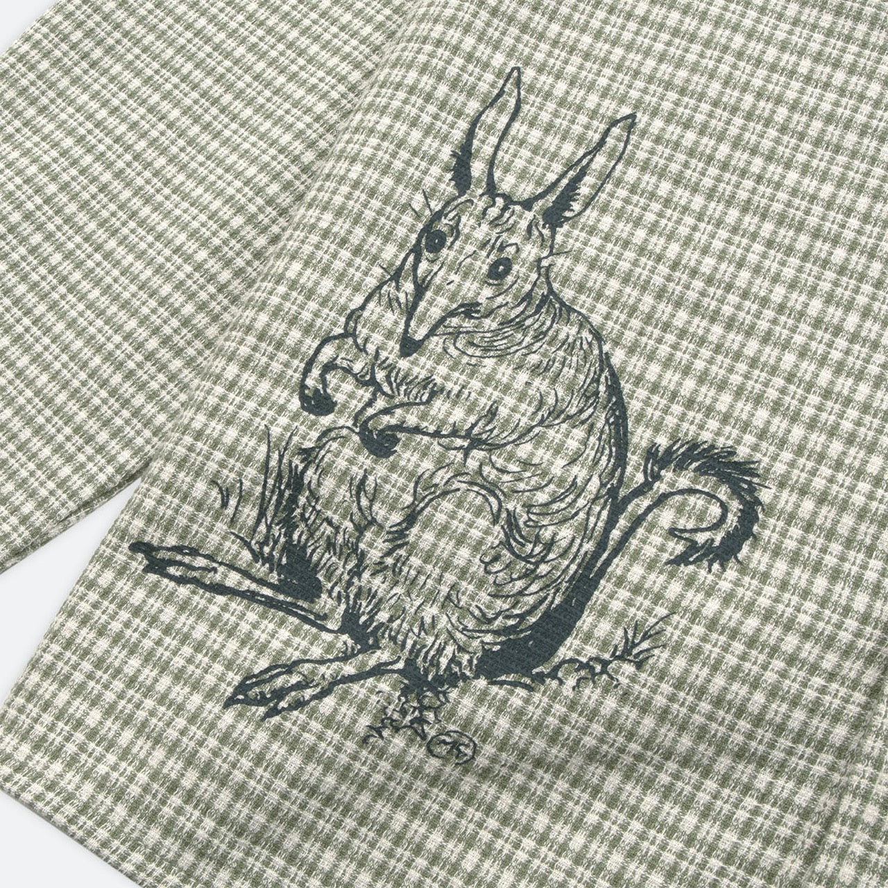 Pass Port Skateboards - May Gibbs Bush Greeting Workers Check Longsleeve Shirt - Moss Green