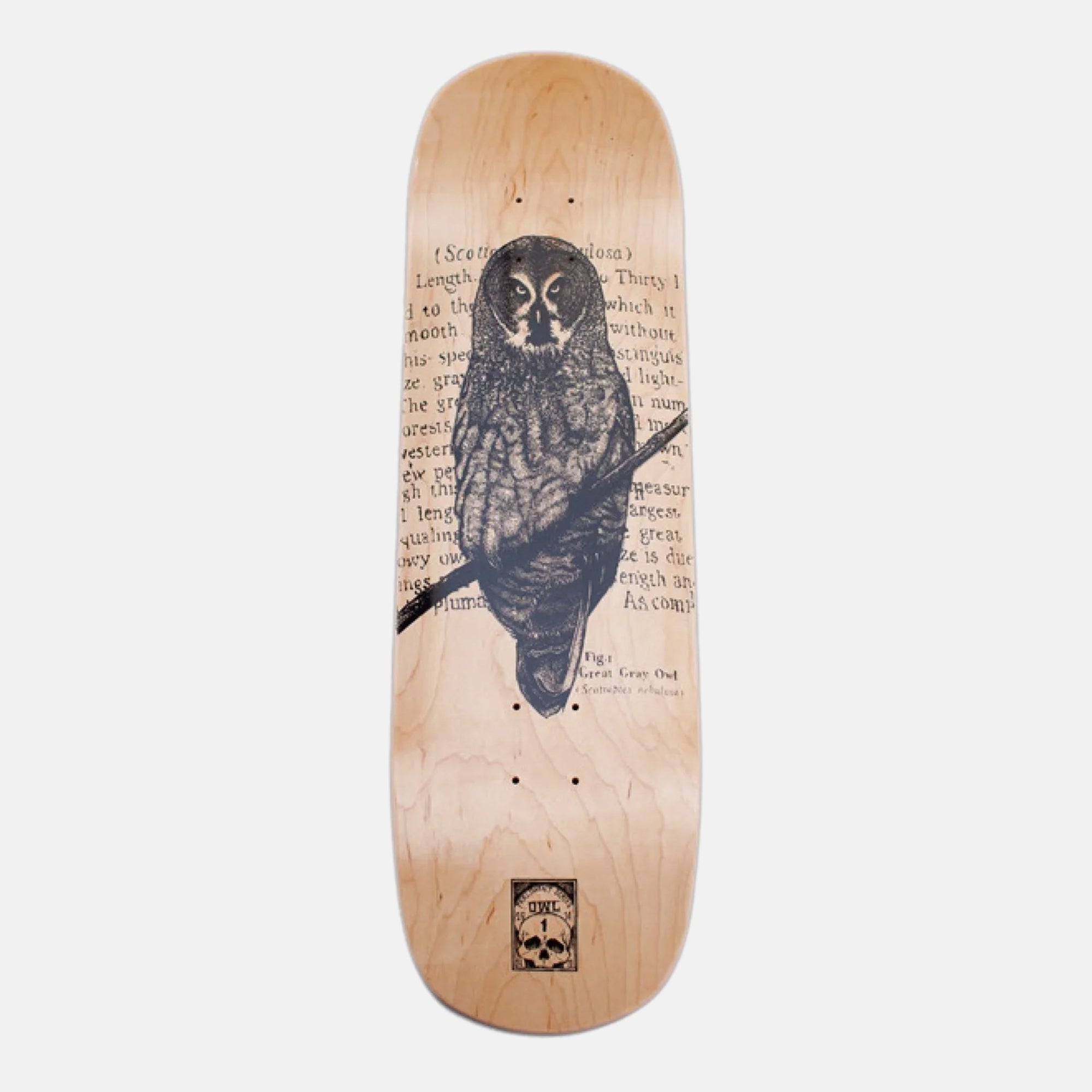 Orwellian World Landscape - 8.25" Great Gray Owl Skateboard Deck