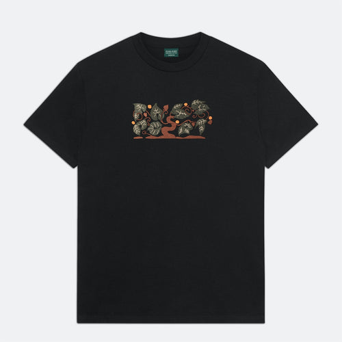 Pass Port Skateboards - Orchard Organic T-Shirt - Black