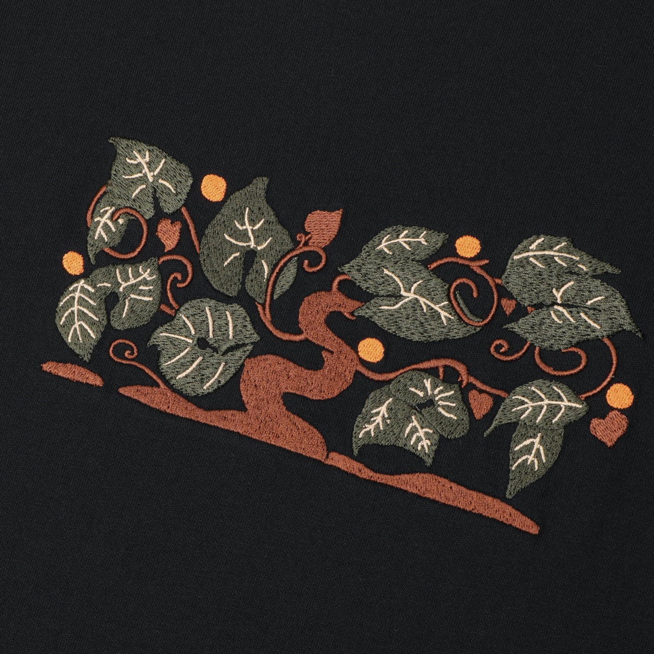 Pass Port Skateboards - Orchard Organic T-Shirt - Black – Welcome