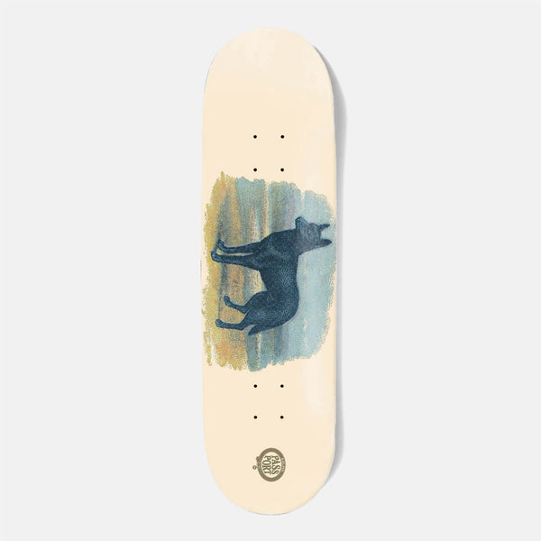 Pass Port Skateboards - 8.5