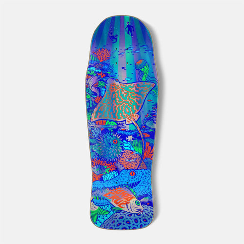 Santa Cruz - 10.4