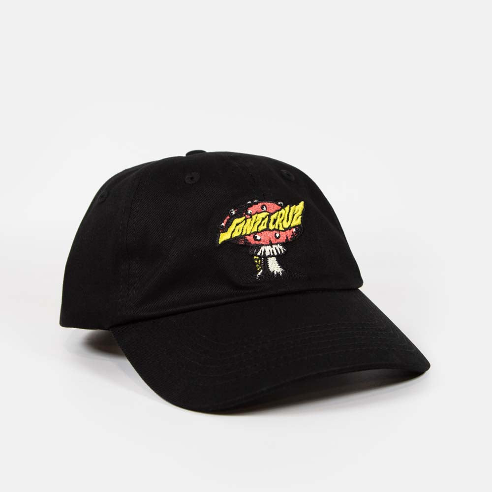 Santa Cruz - Winkowski Alien Creep Cap - Black