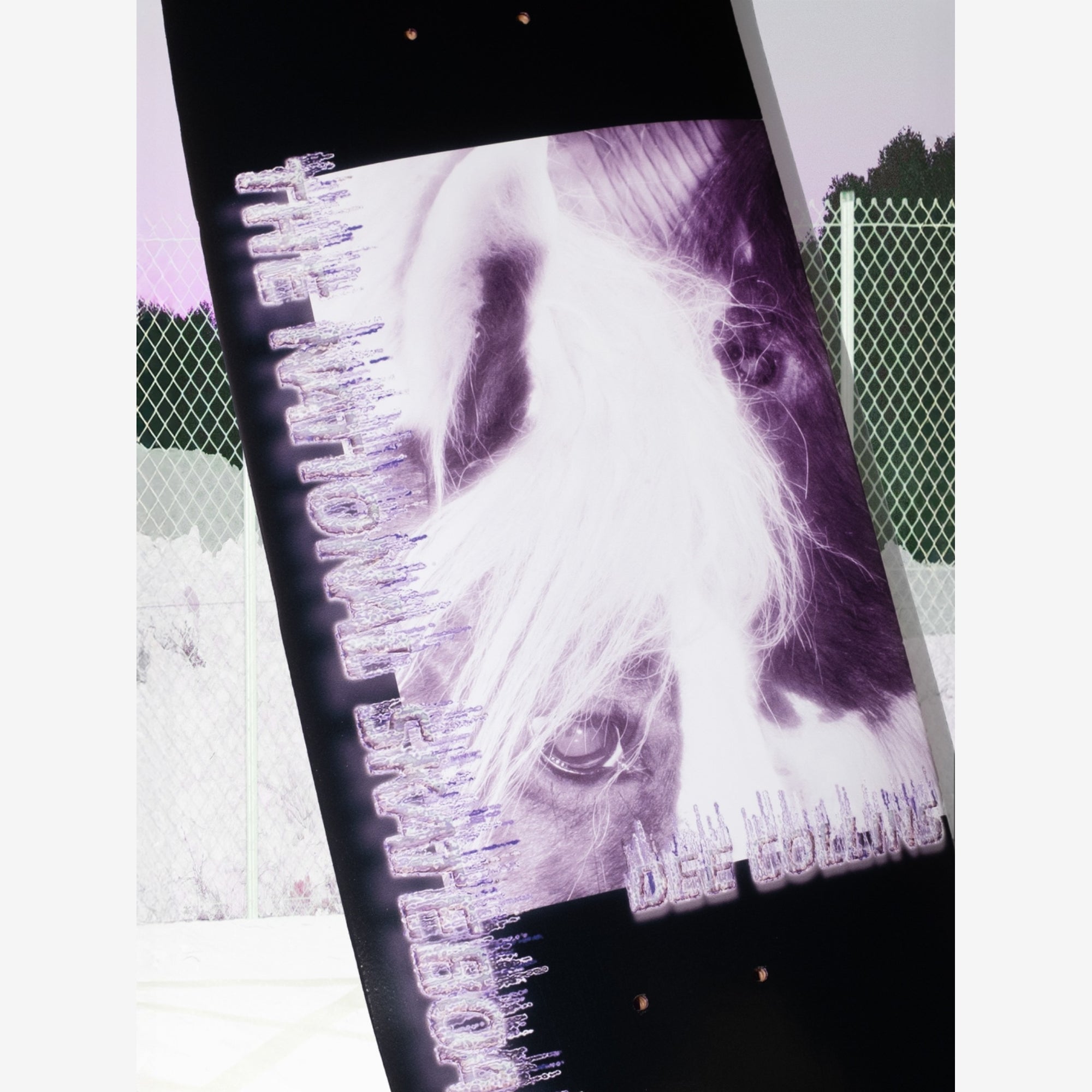 The National Skateboard Co. - 8.375" - DEE COLLINS HORSE CANAL - SKATEBOARD DECK - HIGH CONCAVE