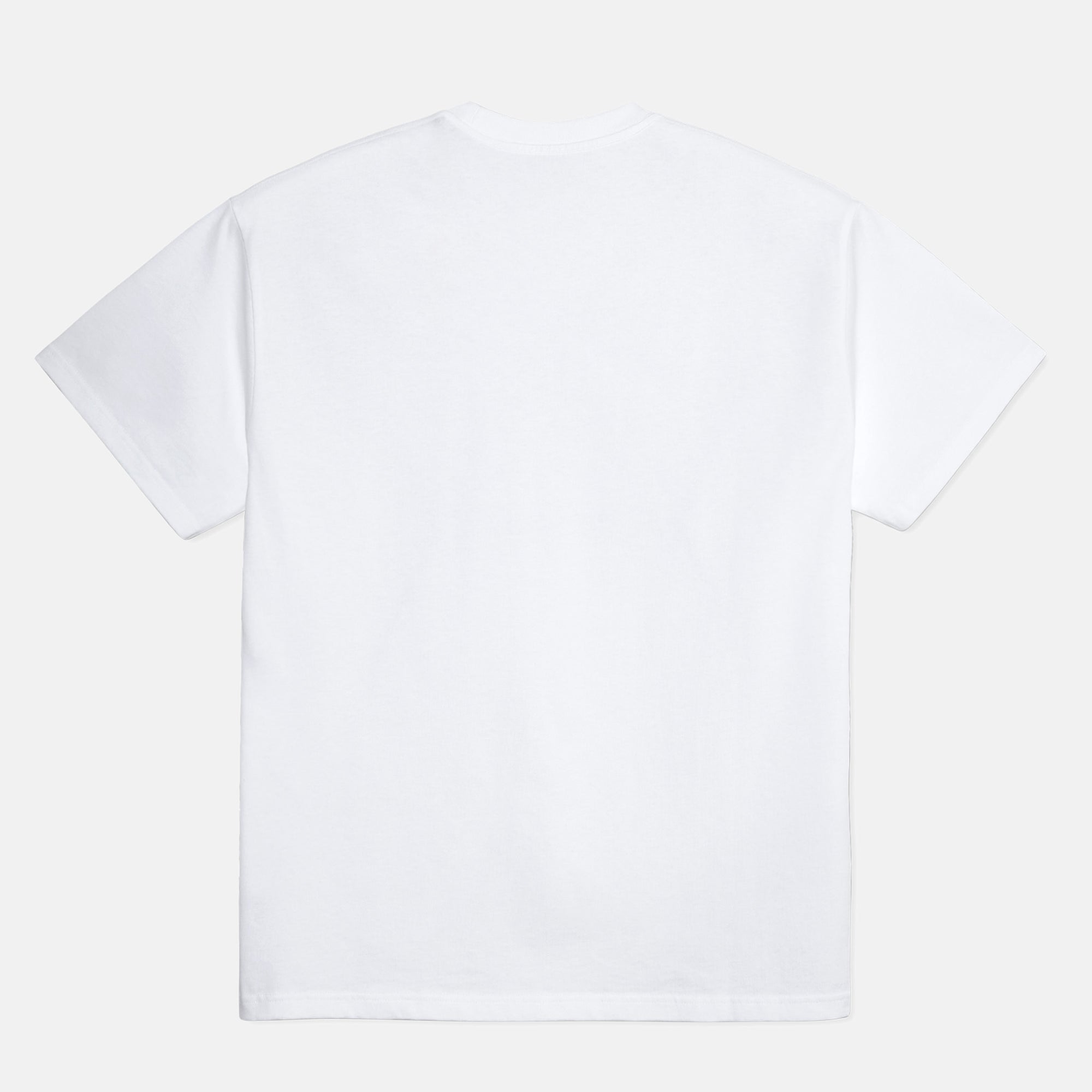 Polar Skate Co. - We Blew It At Some Point T-Shirt - White
