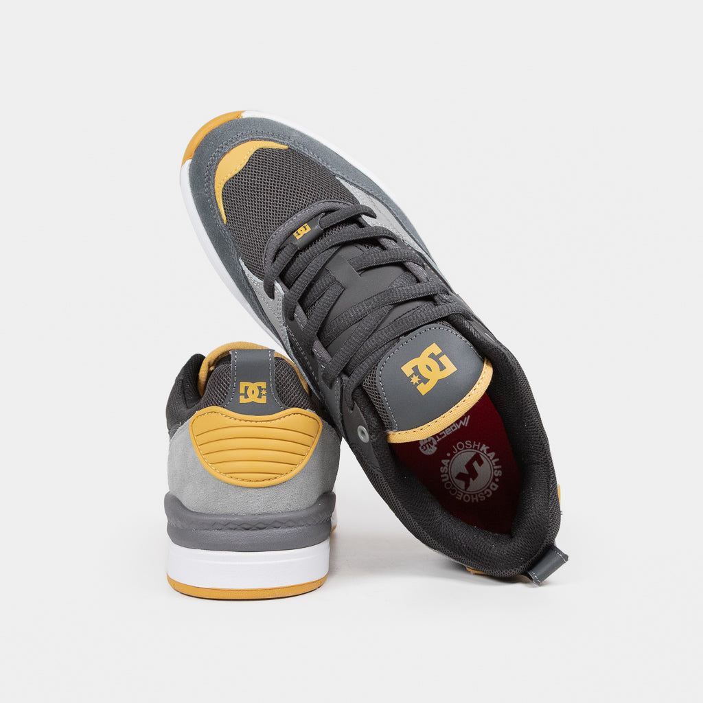 DC Shoes Grey Ascend Shoes