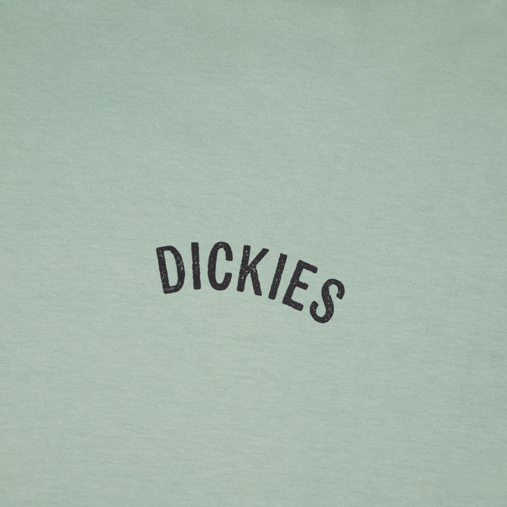 Dickies Pistachio Green Snake T-Shirt Front Print