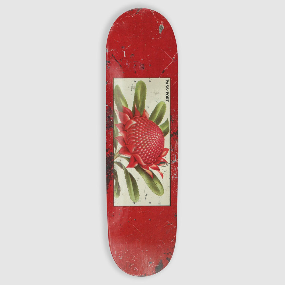 Pass Port Skateboards - 8.0" Waratah Tin Floral Series Deck (Red)