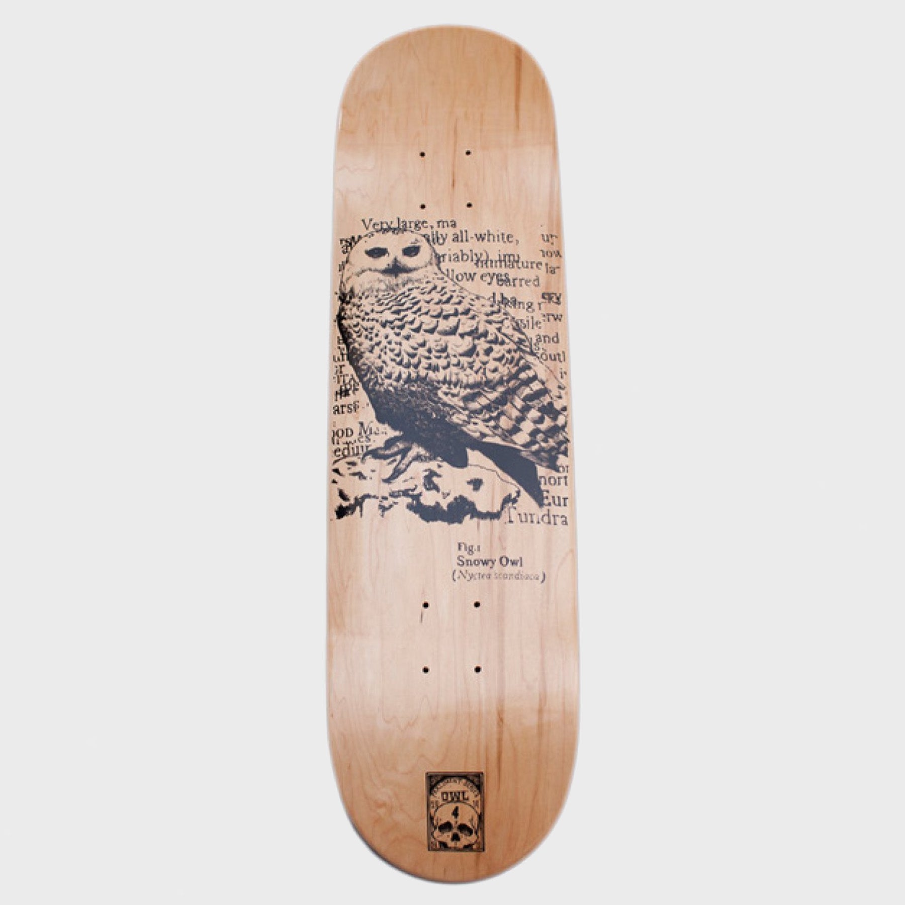Orwellian World Landscape - 8.25" Snowy Owl Skateboard Deck